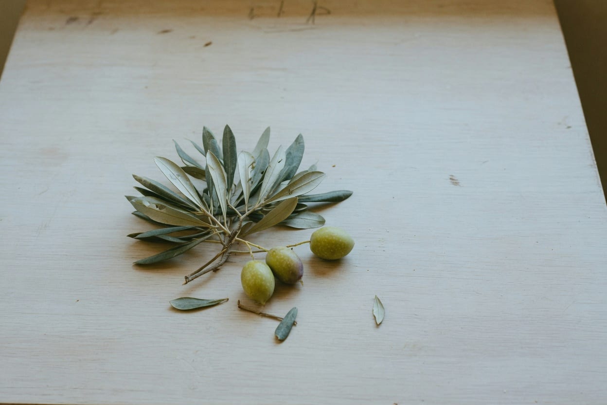 Olive leaves on a table. Editorial house still, not a catalog work.